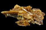 Wulfenite Crystals Cluster - Mexico #67708-1